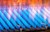 Skelbo Muir gas fired boilers